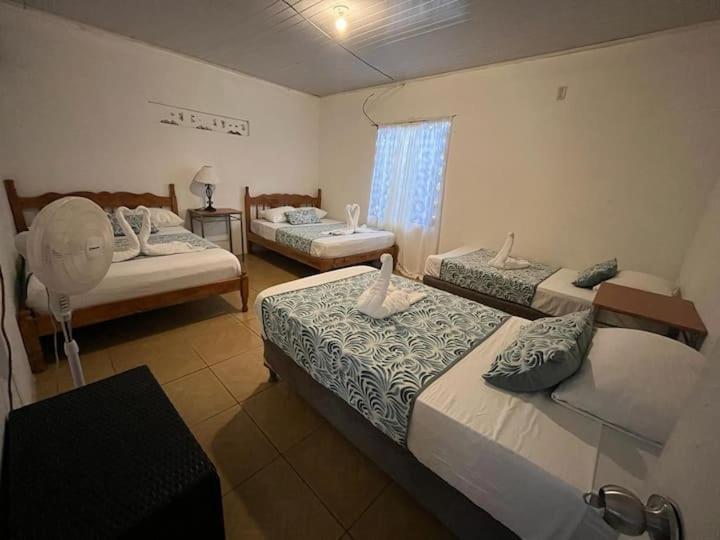 Casa Artavia Villa Tortuguero Ngoại thất bức ảnh